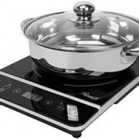 Best Portable Induction Cooktop Reviews 2024