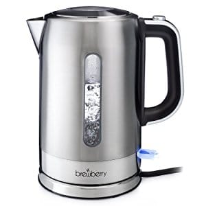 Brewberry Cordless Electric Kettle