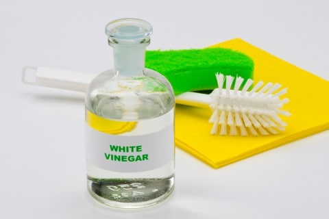 How to Clean a Blender with Vinegar