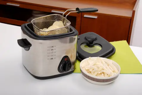 Electric Home Deep Fryer